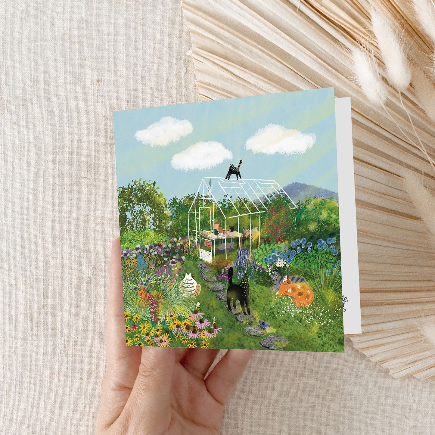 Carte carrée chats et serre: Carte de vœux