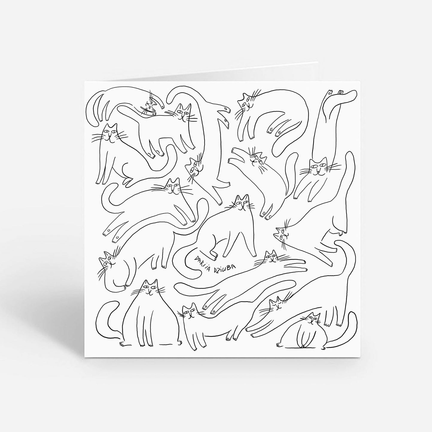 Carte de vœux carrée : Griffonnages de chats curieux
