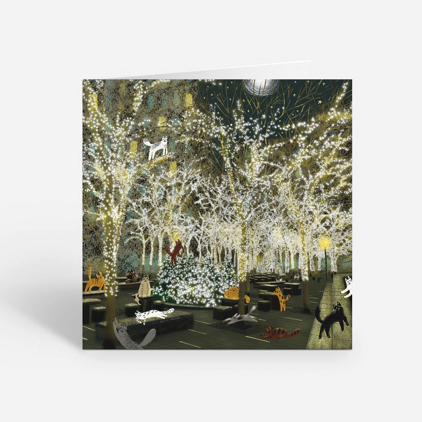 Carte de vœux fantaisiste 5x5 avec chats du parc Zuccotti – Carte vierge inspirée de New York avec enveloppe, parfaite pour les amoureux des chats