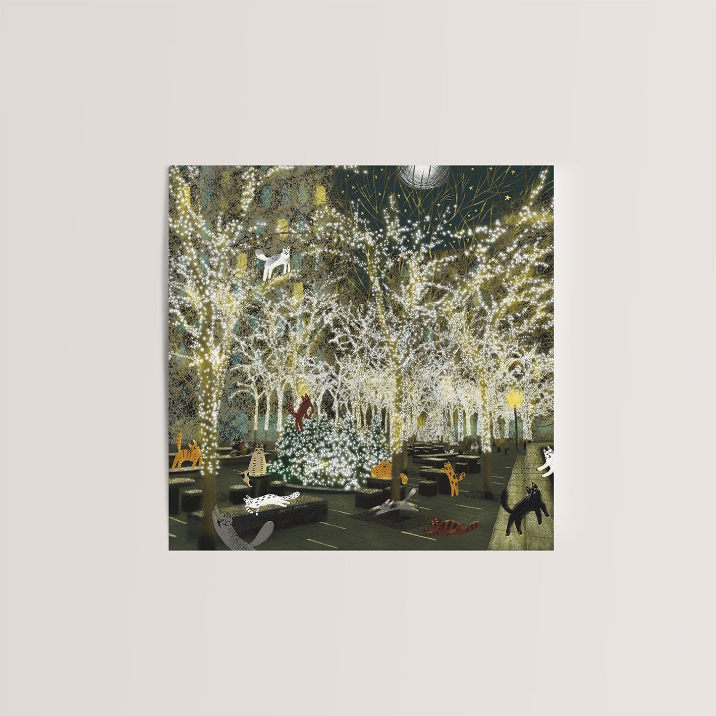 Carte de vœux fantaisiste 5x5 avec chats du parc Zuccotti – Carte vierge inspirée de New York avec enveloppe, parfaite pour les amoureux des chats