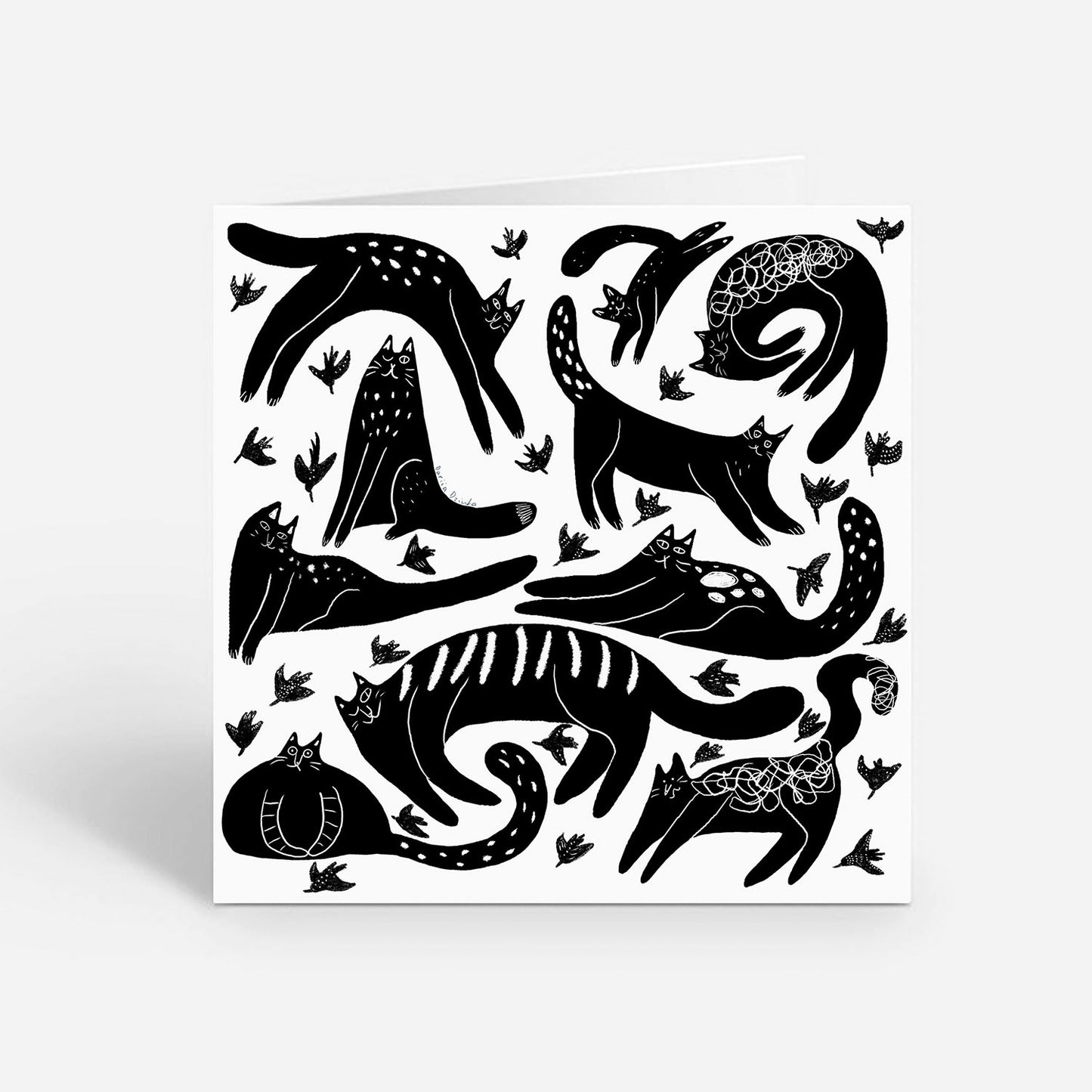 Carte de vœux carrée : Chats grecs fantaisistes