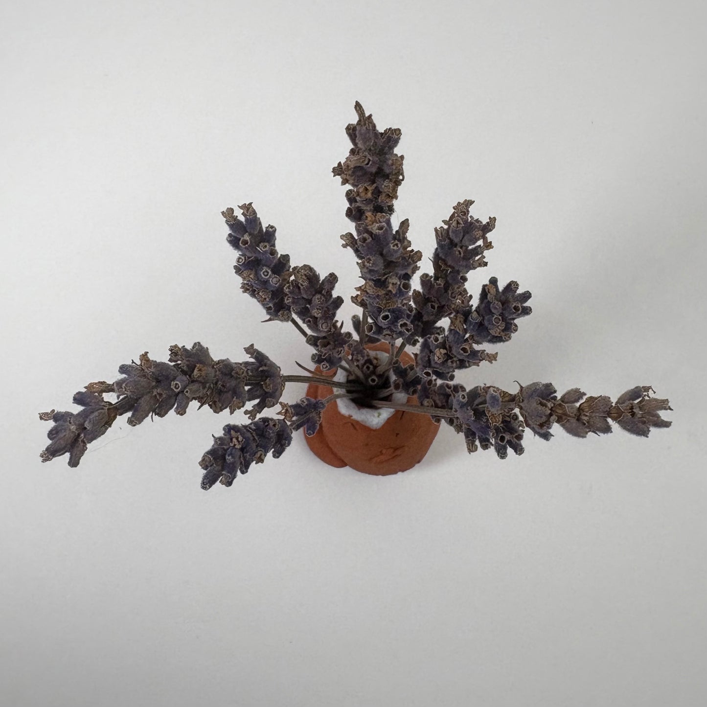 Singing Cat – Terracotta Bud Vase and Whisker Keeper