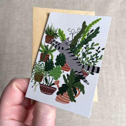 Mini carte : Chat gris parmi les plantes