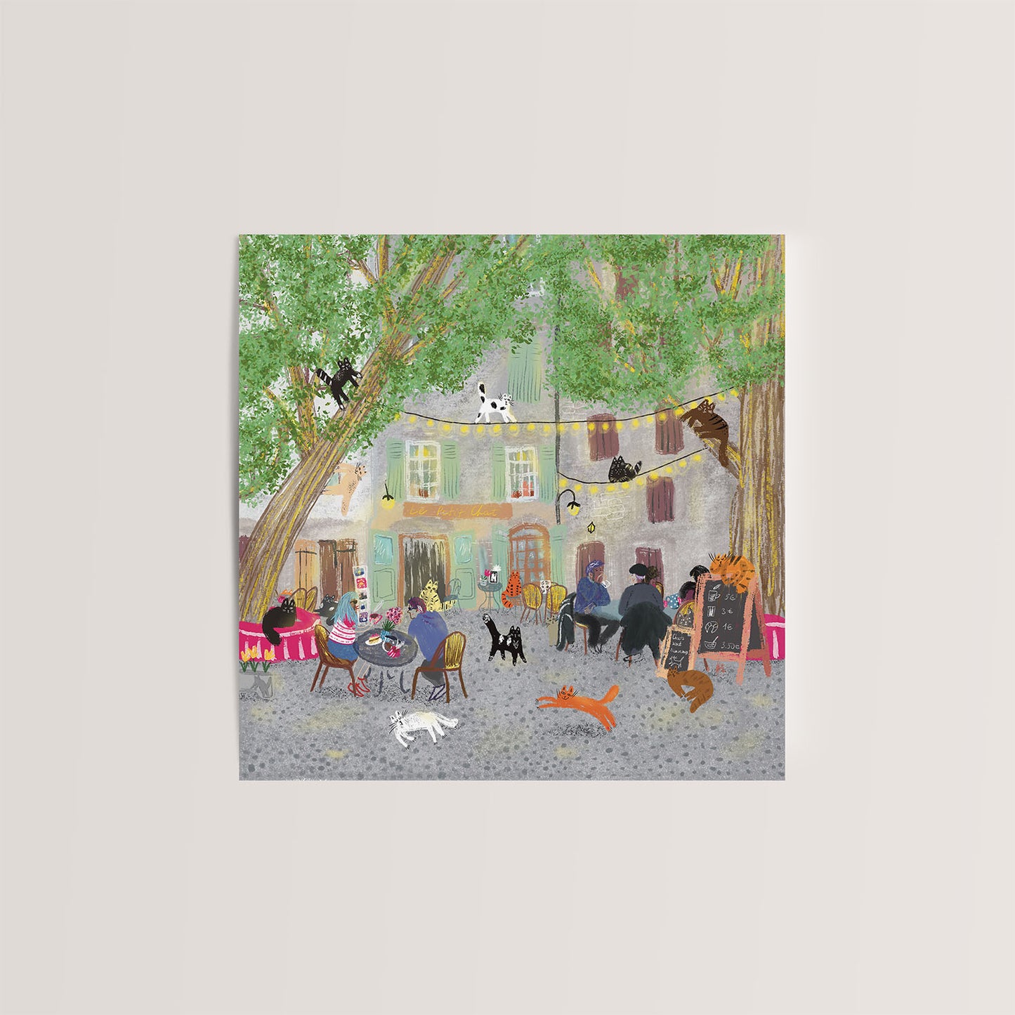 Carte carrée chats en France: Carte de voeux