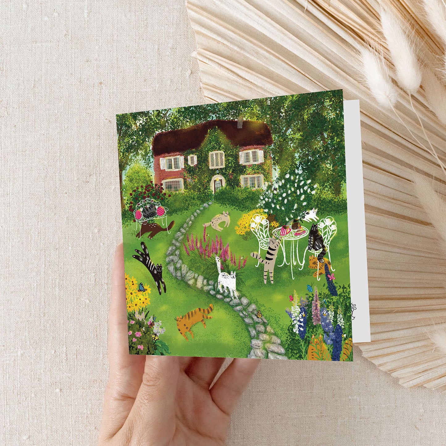 Chats de carte carrée dans la cour avant: Carte de vœux