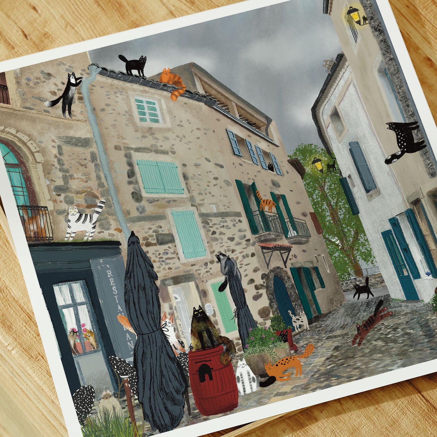 Impression d'art non encadrée : Chats après la pluie (Bize-Minervois)