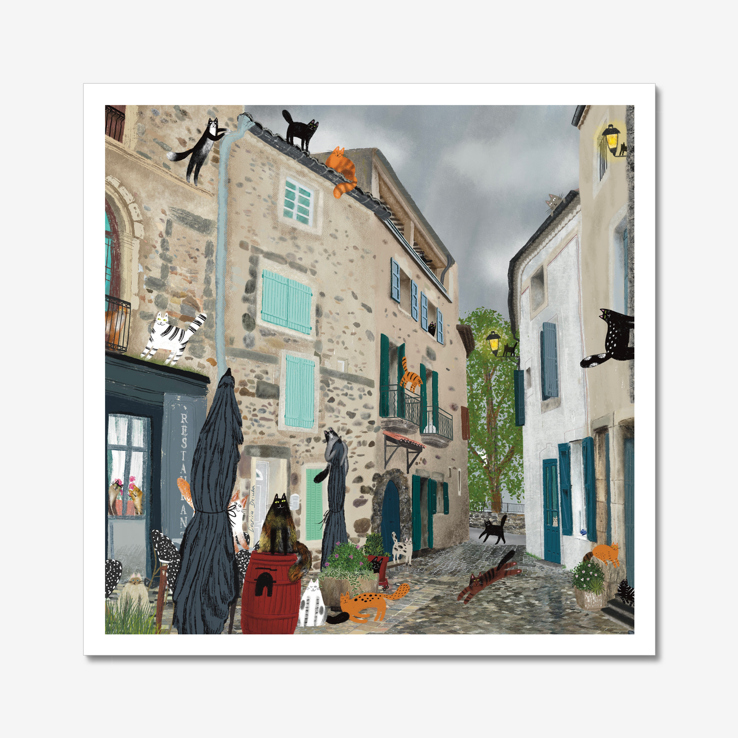 Impression d'art non encadrée : Chats après la pluie (Bize-Minervois)