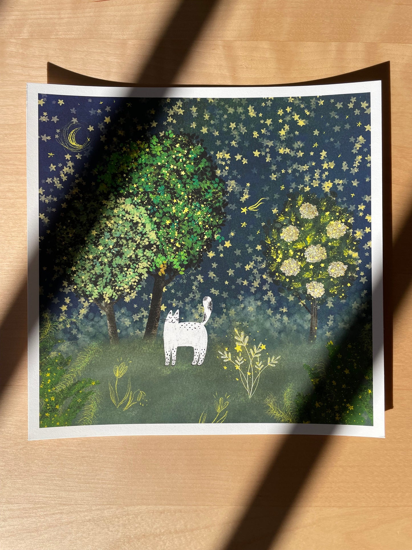 Impression d'art de chat : Chat dans un jardin étoilé