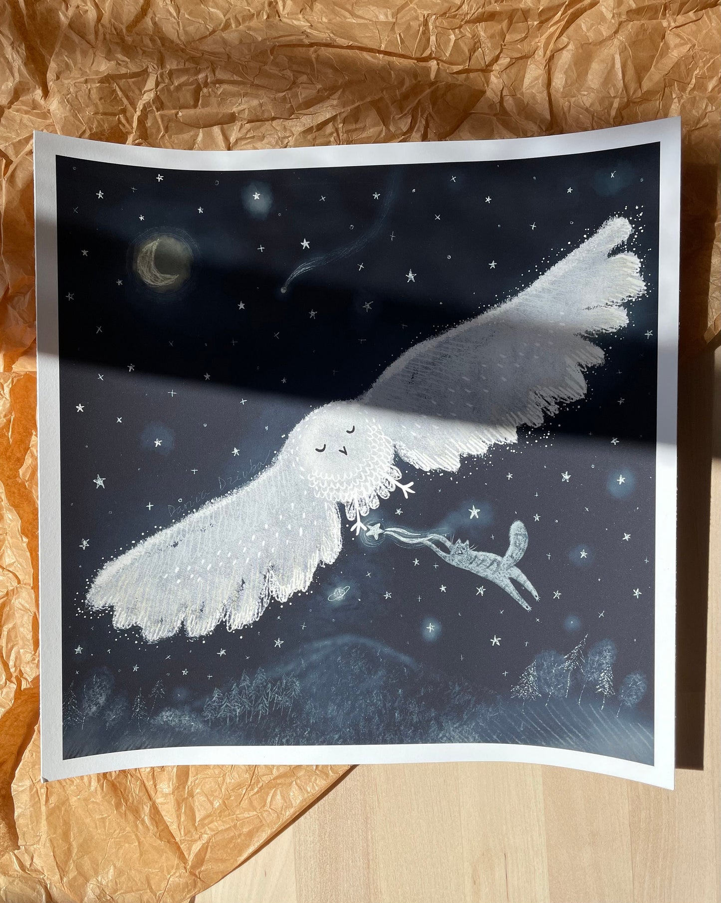 Cat Stealing Stars in the Night Sky Unframed Art Print
