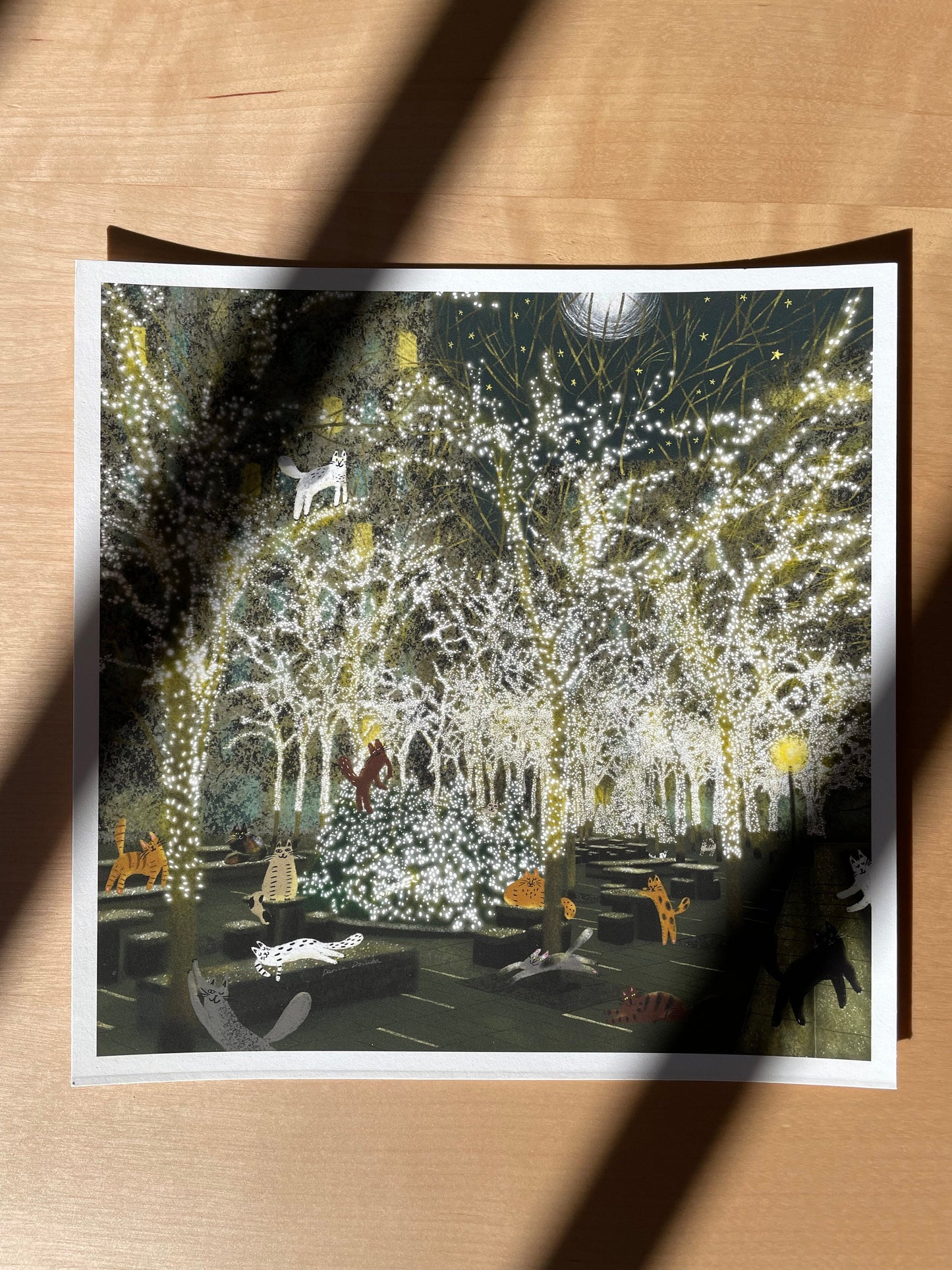 Impression d'art de chat : Lumières de New York