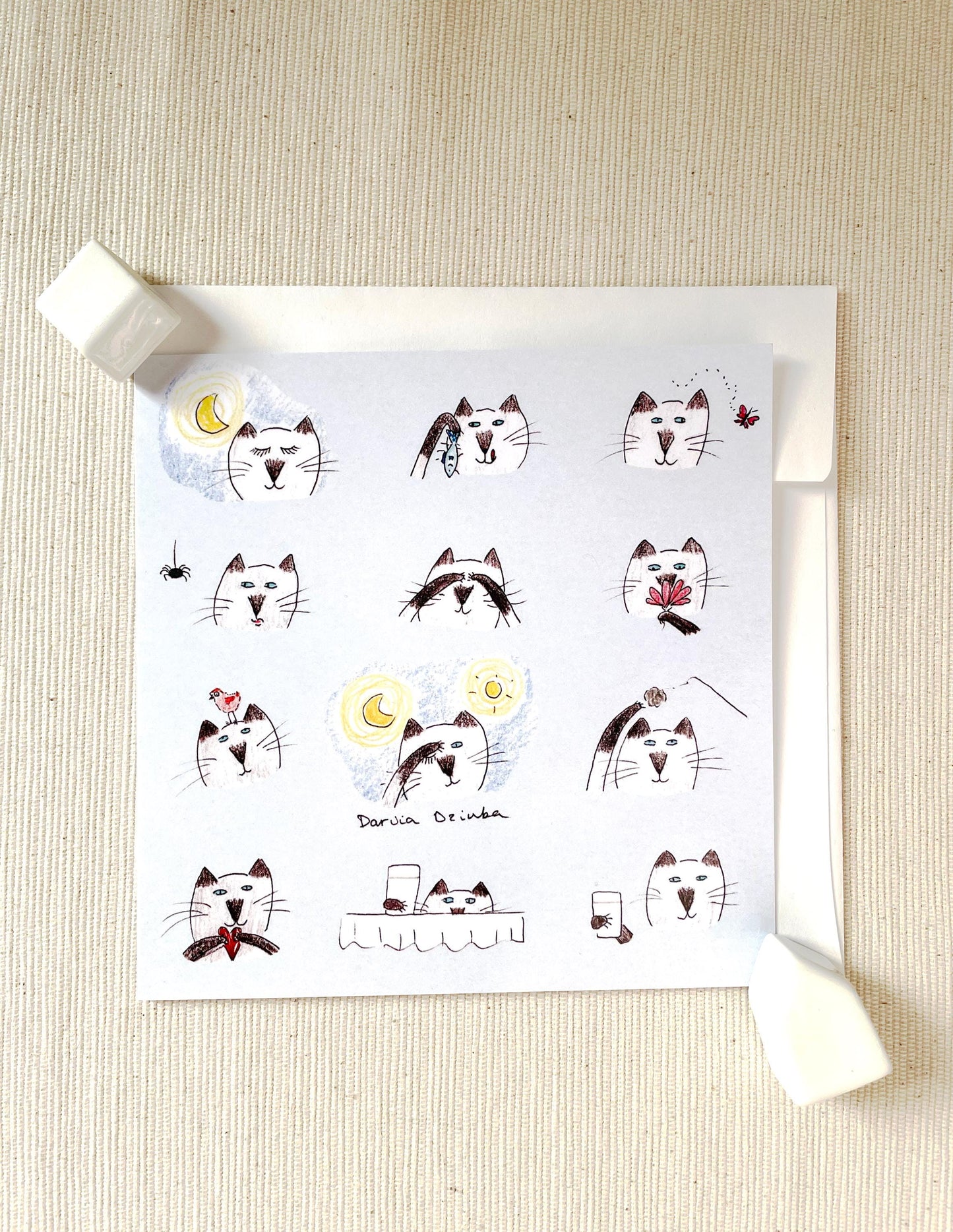 Carte carrée chats fantaisistes/ carte de vœux/ carte blanche/ carte pliante/ carte carrée 5x5"/ cartes pour toute occasion