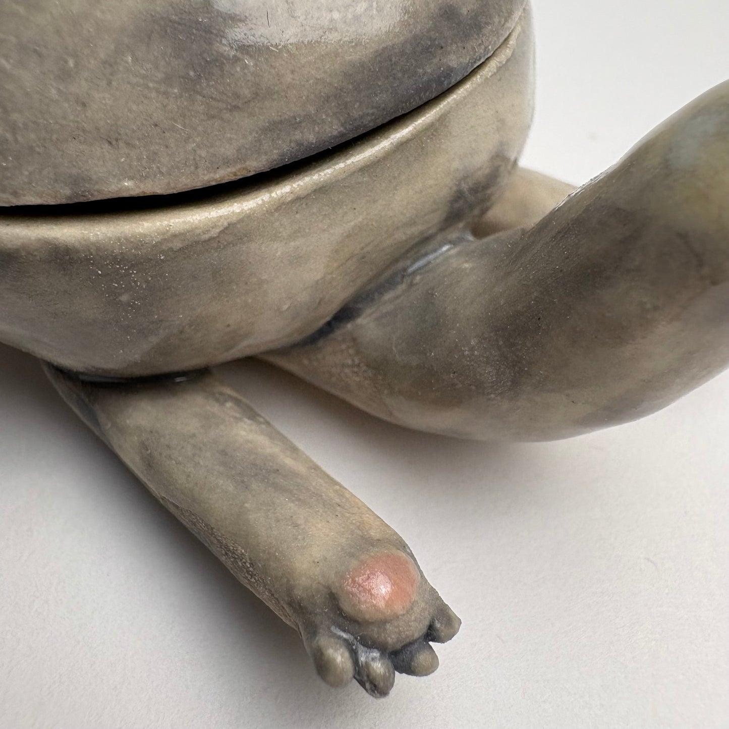 Whimsical Ceramic Cat Art Box with Bird & Four-Legged Fish — Hand-Sculpted Collector Piece