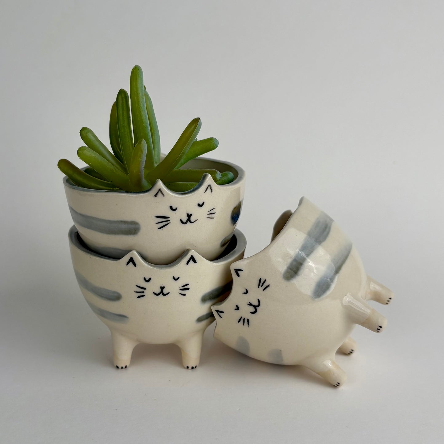 Mini Cat Planter on Paws