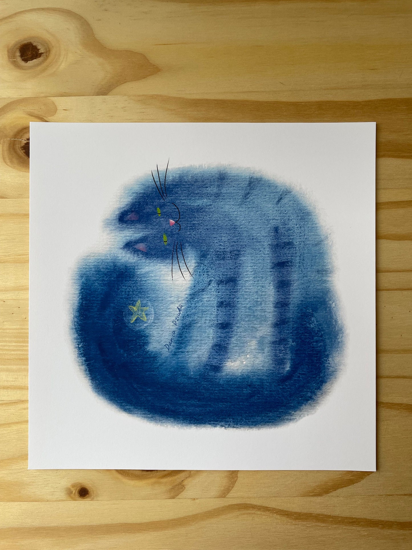 Cat art print: Cat and star illustration