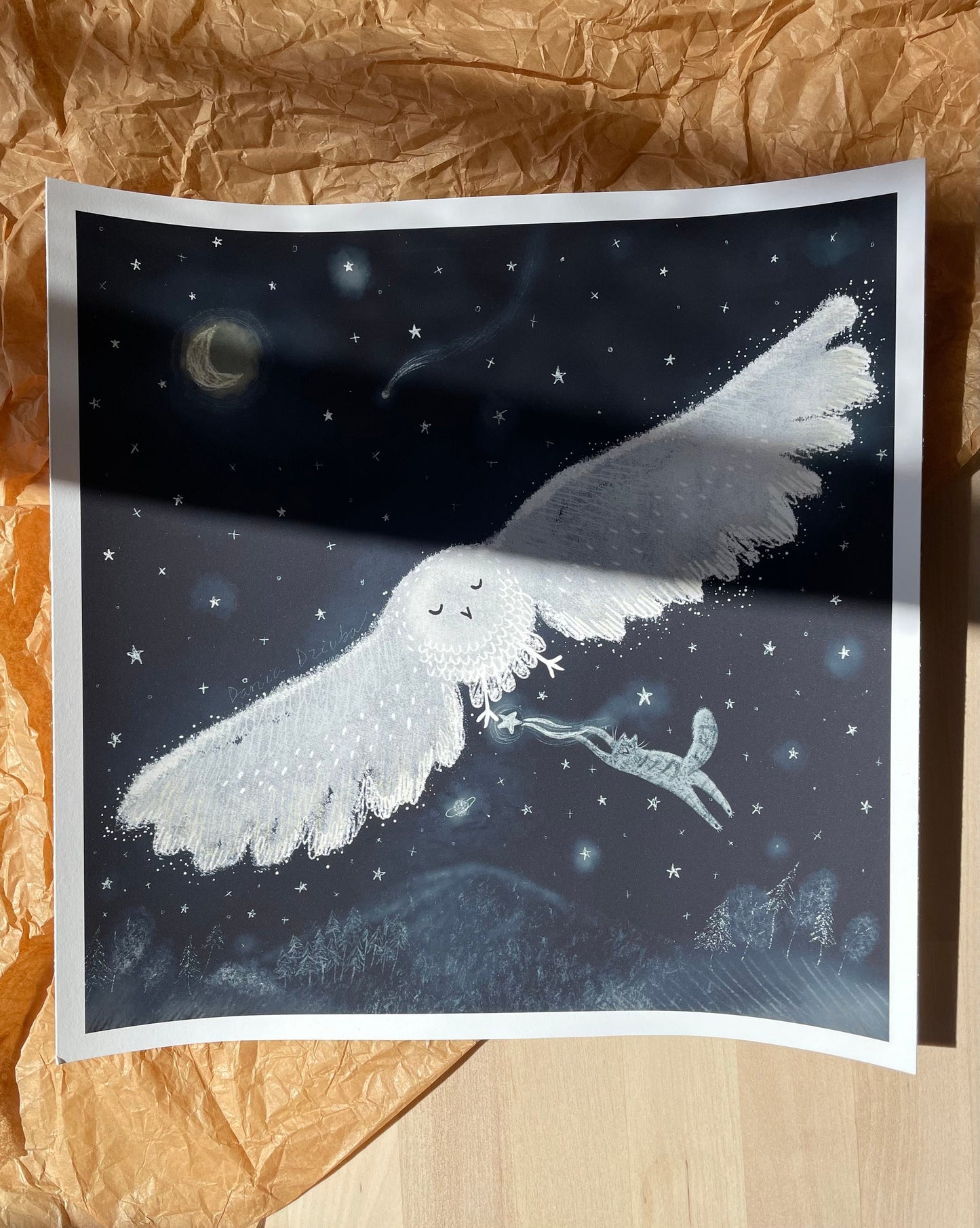 Cat art print: Cat stealing stars in the night sky while riding an owl illustration